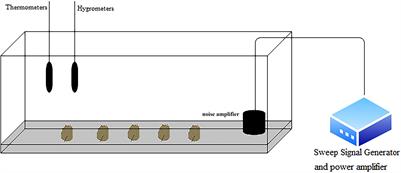 Transcriptome Analysis of the Central Nervous System of Sea Slug (Onchidium reevesii) Exposed to Low-Frequency Noise